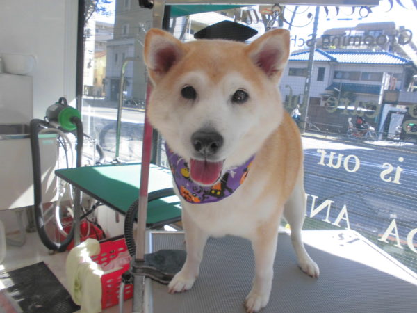 奈良原　幸