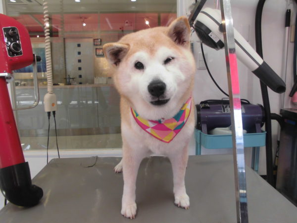 奈良原　幸