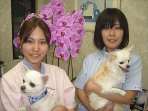 実習生　東京愛犬専門学校　藤田さん（写真左）