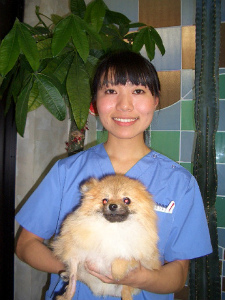 ワシントン州立大学動物病院実習2009　大田純香さん（日本大学生物資源獣医学科卒業）