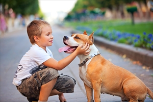 家族と犬